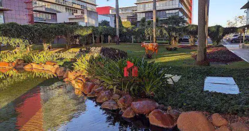 Sala comercial para alugar na Avenida Anísio Haddad, 8001, Jardim Vivendas, São José do Rio Preto