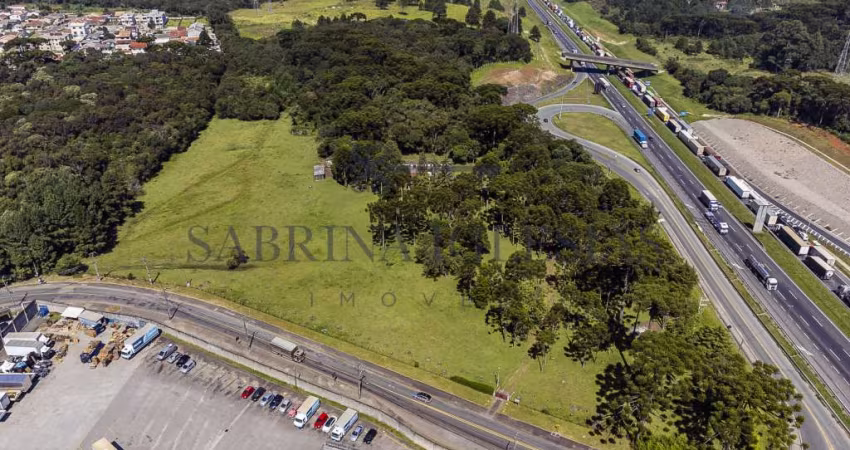 Terreno comercial à venda na Rua Francisco Munõz Madrid, 1010, Roseira de São Sebastião, São José dos Pinhais