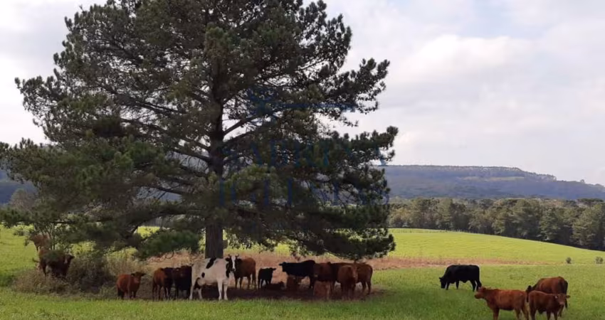 Fazenda à venda na Rodovia do Xisto, 476, Passa Dois, Lapa