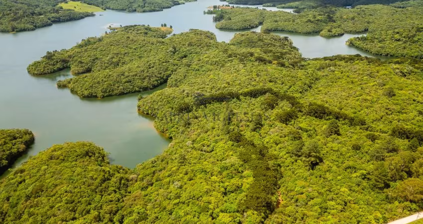Terreno comercial à venda na Vila Fuck, Piraquara 