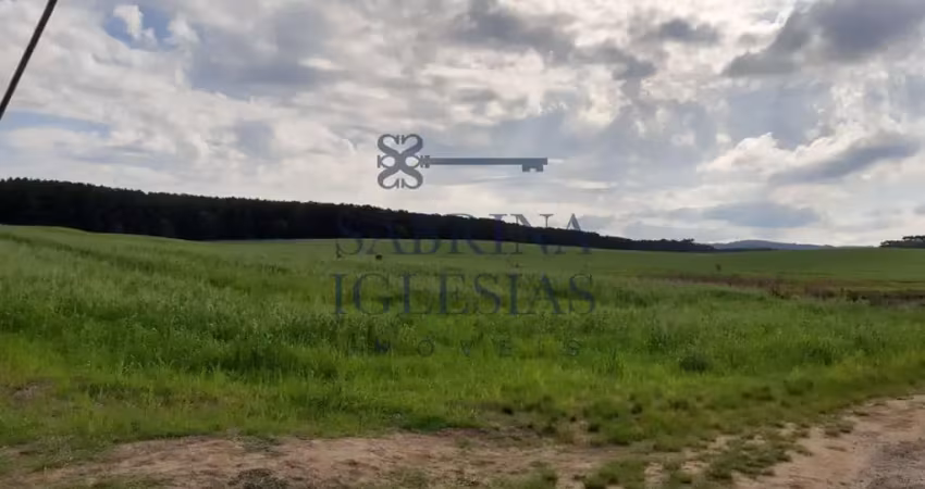 Terreno à venda na Rodovia do Xisto, 476, Passa Dois, Lapa