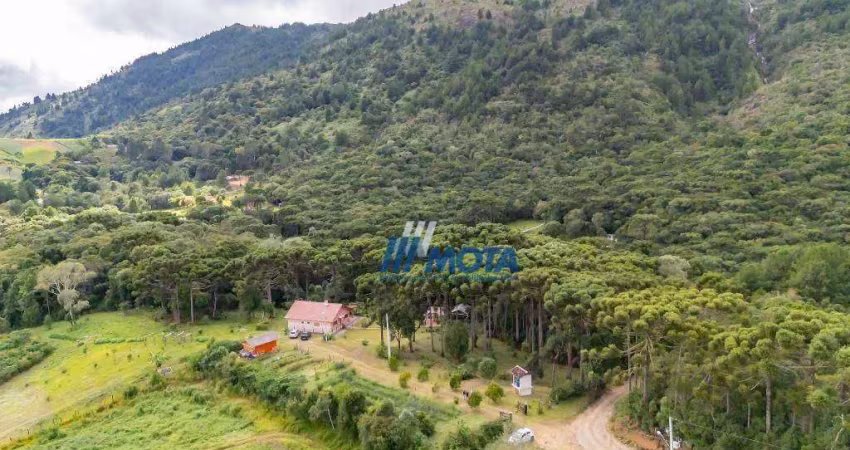 Chácara à venda, 72519 m² por r$ 980.000,00 - serra do araçatuba - tijucas do sul/pr