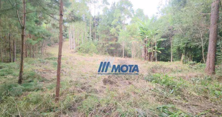Chácara à venda, com 7,7 alqueires ou seja 186700 m² por r$ 860.000 - itaqui de cima - campo largo/pr