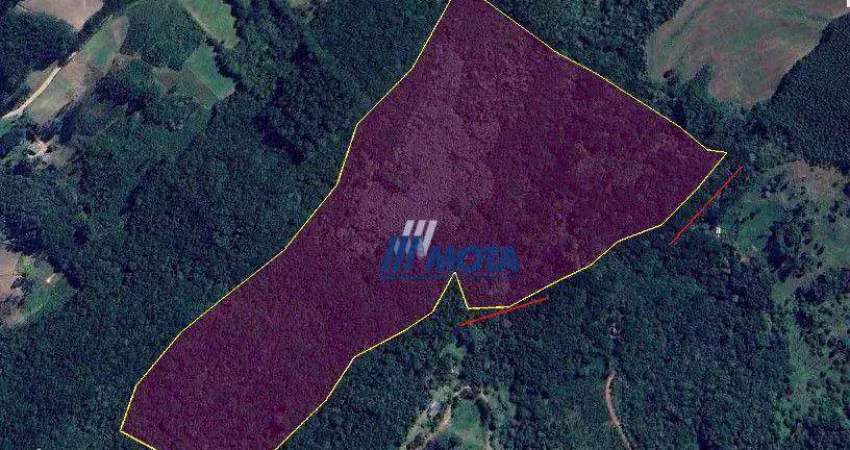 Chácara à venda, com 7,7 alqueires ou seja 186700 m² por r$ 860.000 - itaqui de cima - campo largo/pr