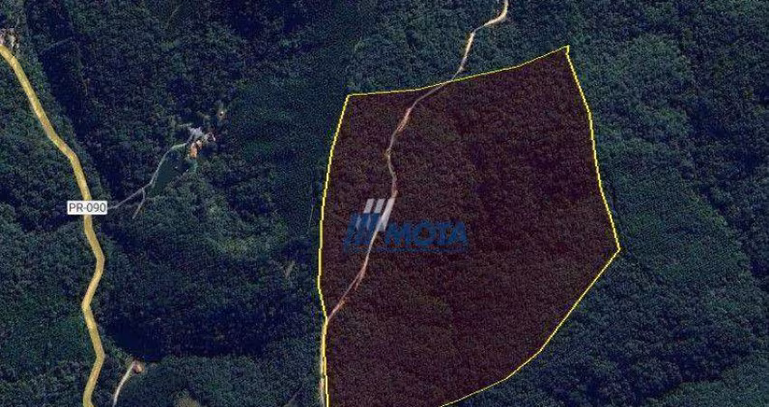 Ótima área a venda Campo Largo Com 11,8 alqueires ideal para quem busca área para compensação ambiental, chácara de lazer e investimentos,