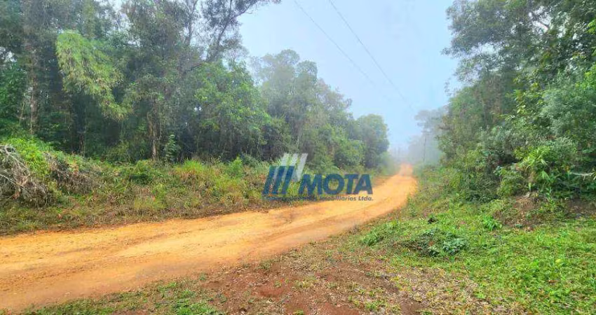 Ótima área a venda campo largo com 11,8 alqueires com nascentes e riozinho que passa pela área se tornado  fácil para fazer tanques,