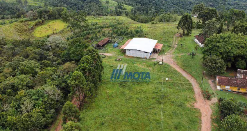 Fazenda a venda campo largo com 76 hectares, com casa sede, barracão, formada em pastagem e eucaliptos.