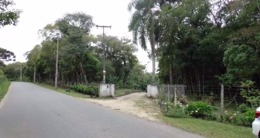 Chácara com 3 dormitórios para alugar, 31419 m² por r$ 3.800,00/mês - roseira - colombo/pr