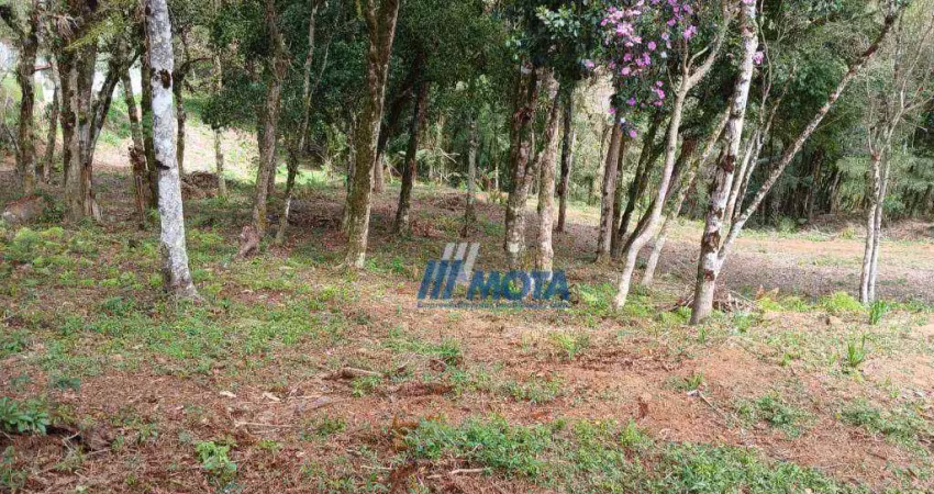 Terreno à venda na Rua do Café, Jardim Bela Vista, Piraquara