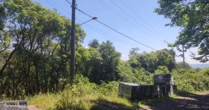 Terreno/lote tem 1000 metros quadrados com 1 quarto em villagio - gramado - rio grande do sul