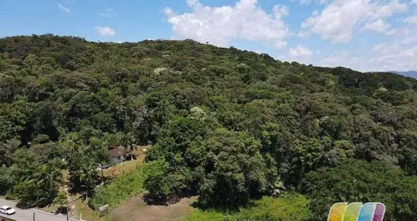 Área à venda, 25.000 m² por r$ 1.800.000 - água branca - são francisco do sul/sc