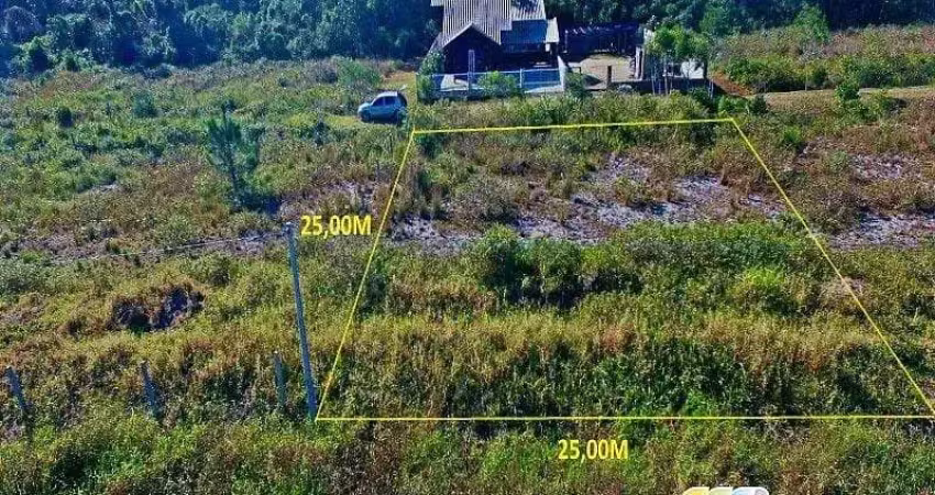 Terreno à venda, 625 m² por r$ 220.000,00 - praia do ervino - são francisco do sul/sc