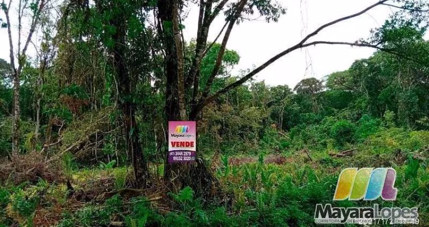 Terreno à venda, 9.000m² por R$ 400.000 - Acaraí - São Francisco do Sul/SC