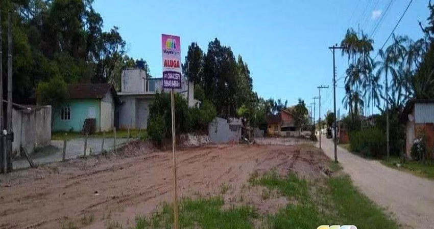 Terreno para alugar, 700 m² por R$ 1.000,00/mês - Praia de Ubatuba - São Francisco do Sul/SC