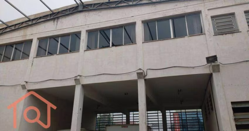Galpão para alugar, 800 m² por R$ 20.000 - Vila Mascote - São Paulo/SP