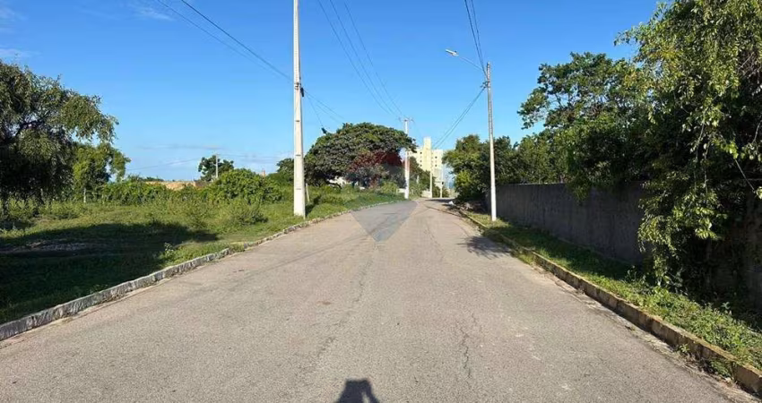Oportunidade de Investimento Vizinho ao Maior Cajueiro do Mundo