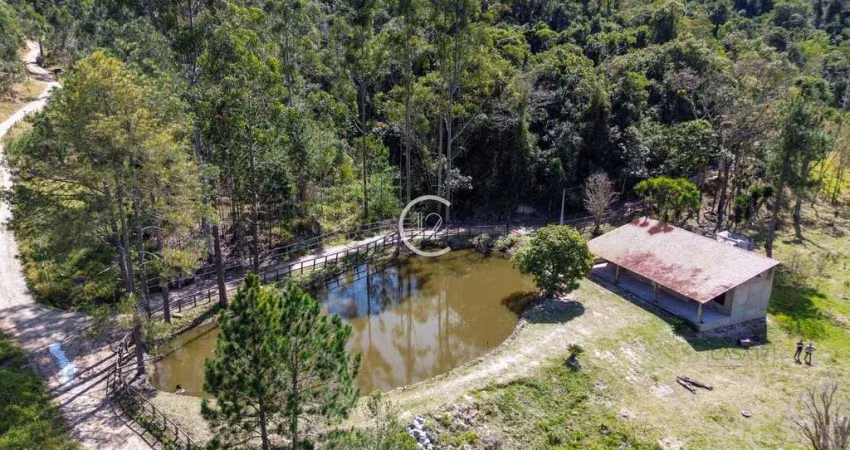 Chácara com 2 dormitórios à venda, 20.000 m² por r$ 800.000 - são luiz do paraitinga/sp