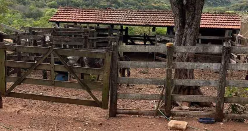 Fazenda à venda no Centro, Duartina 