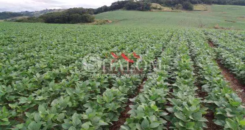 Fazenda à venda em apucarana, parque industrial zona oeste, com 1 quarto, com 2819300 m²