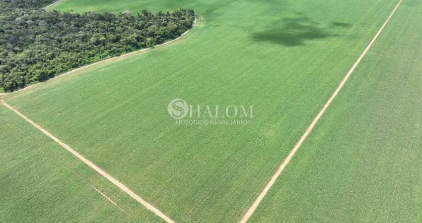 Sítio à venda em lucas do rio verde, centro, com 12 hectares