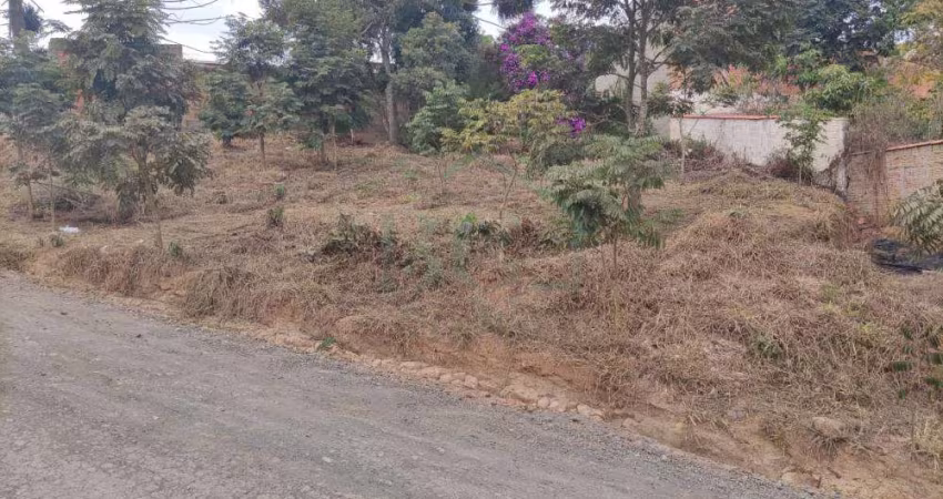 Terrenos Padrão em Caldas
