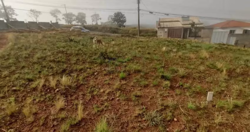Terreno à venda no Jardim Doutor Ottoni, Poços de Caldas 