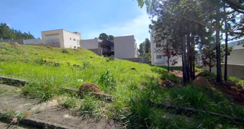 Terrenos Padrão em Poços de Caldas