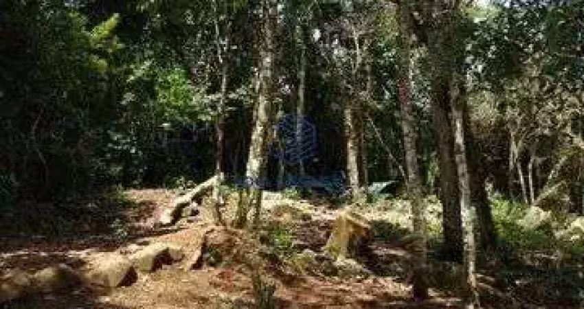 Área à venda, 3000 m² por r$ 950.000 - siriúba - ilhabela/sp