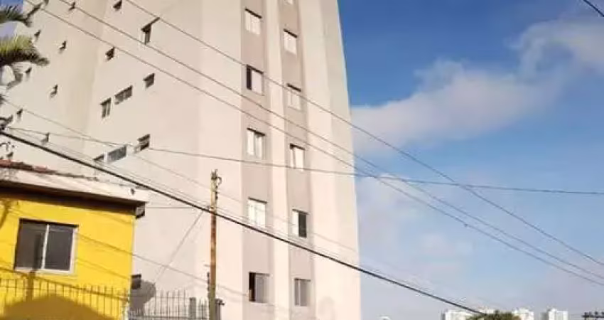 Apartamento com 3 dormitórios e 1 suíte condomínio edifício olga shariff
