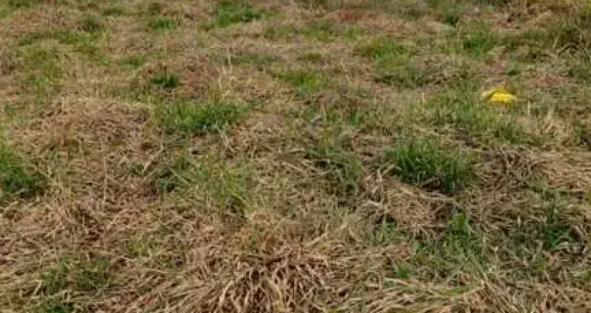 Terreno residencial para venda em campinas, loteamento residencial flavia