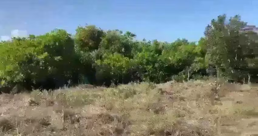 Terreno à venda na Centro, 100, Centro, Porto de Pedras