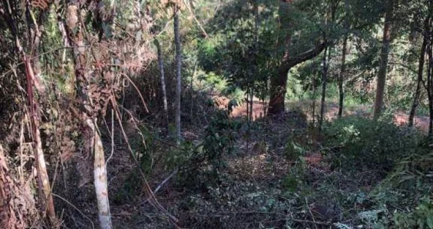Terreno à venda, 880 m² por R$ 150.000,00 - Fazenda Suiça - Teresópolis/RJ
