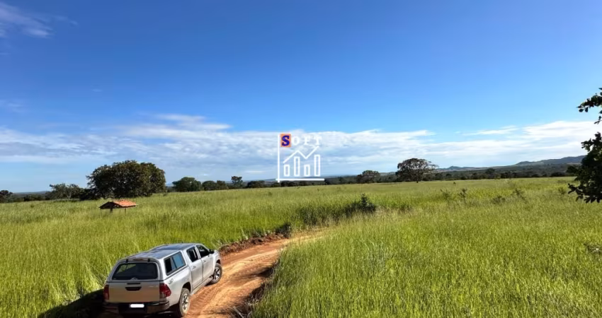 FAZENDA À VENDA – 40 ALQUEIRES (193,6 HECTARES) – PADRE BERNARDO/GO