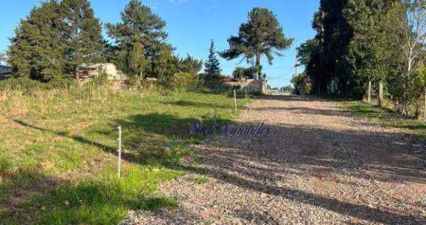 Terreno à venda, 1000 m² por r$ 350.000 - colônia mergulhão- são josé dos pinhais/pr
