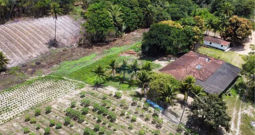 Granja/Sítio à venda no Conde, c/ 16 hectares e c/ 2 rios perenes