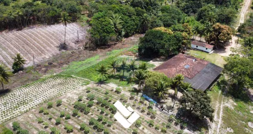 Granja/sítio à venda no conde, c/ 16 hectares e c/ 2 rios perenes