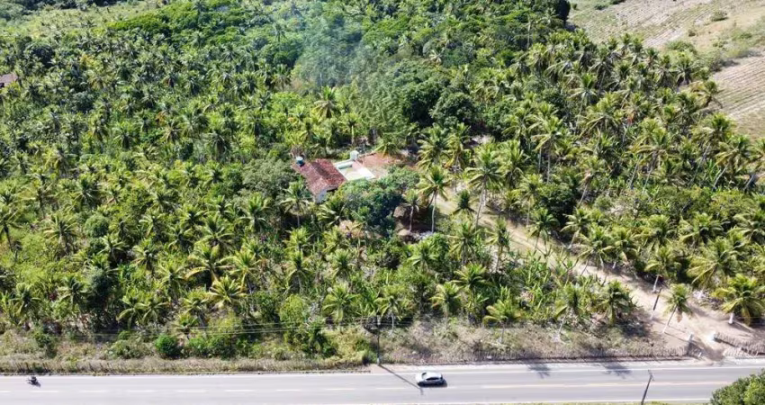 Área rural / granja à venda no conde, com 13,7 hectares 'beira de pista e c/ rio perene'