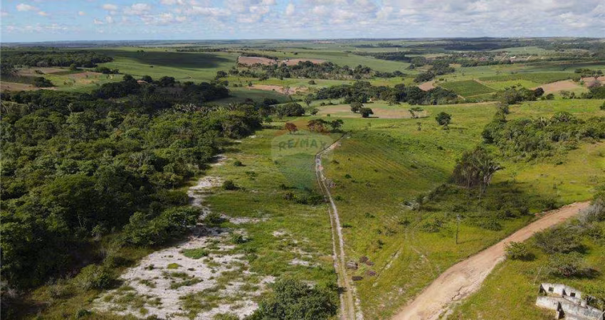 Oportunidade de Ouro para o seu Agronegócio! Terreno Rural com 9 Hectares em Alhandra, PB!