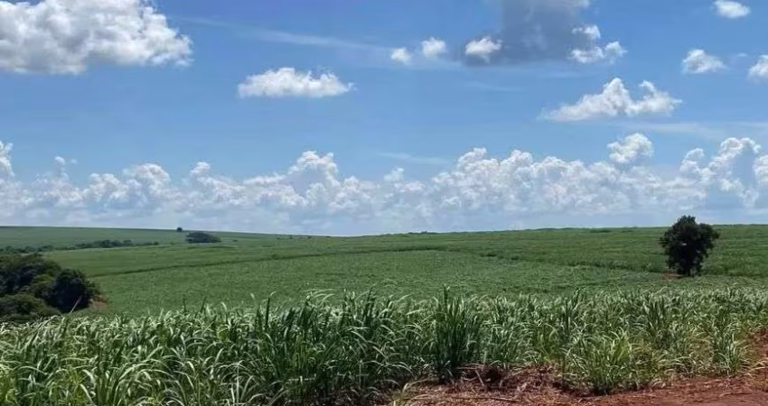 Fazenda de cana a venda 14 alqueires ao lado da Usina
