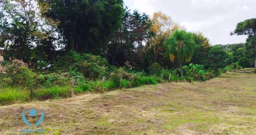 Oportunidade única. Terreno à venda, 2499 m² por R$ 1.272.000 - Santa Felicidade - Curitiba/PR