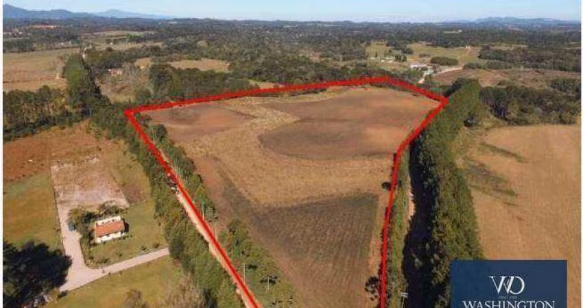 Área à venda, 20045 m² por R$ 1.904.275,00 - Campo Largo da Roseira - São José dos Pinhais/PR