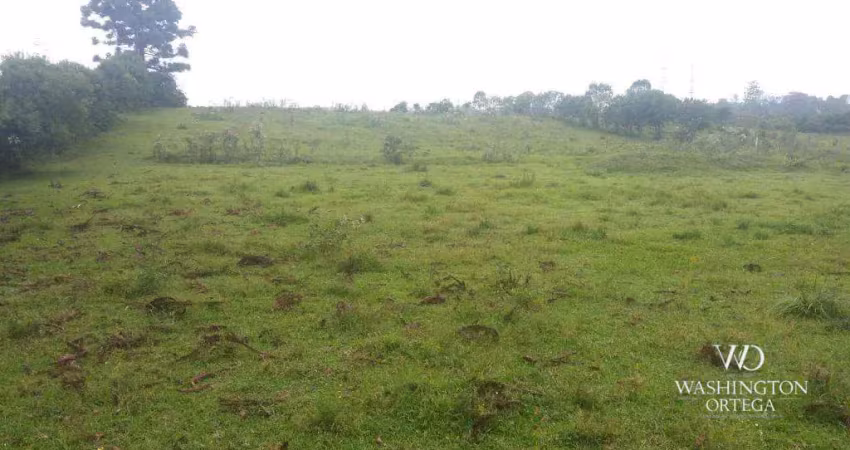 Terreno à venda, 41827 m² por R$ 9.000.000 - Colônia Murici - São José dos Pinhais/PR