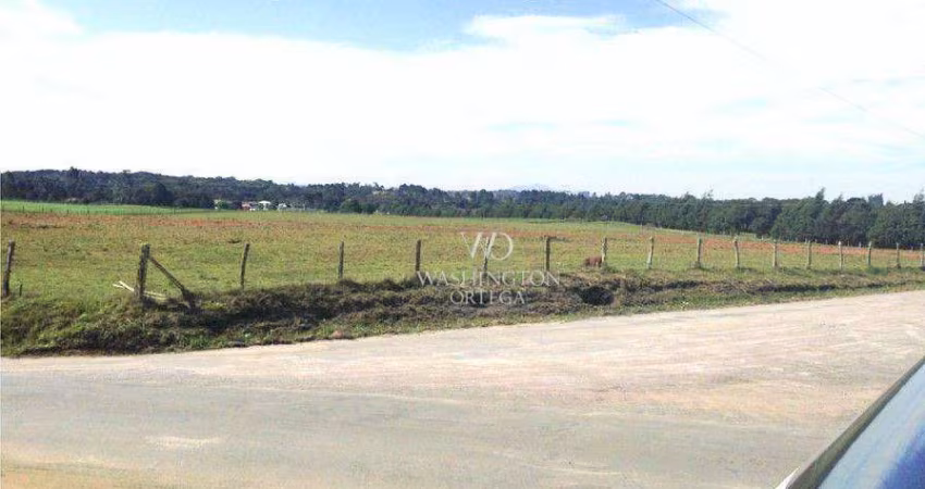 Área à venda, 128000 m² por R$ 27.776.000,00 - Campo Largo da Roseira - São José dos Pinhais/PR