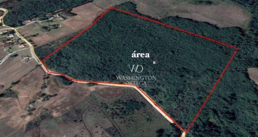 Área à venda, 280000 m² por R$ 11.760.000,00 - Roseira - Campina Grande do Sul/PR