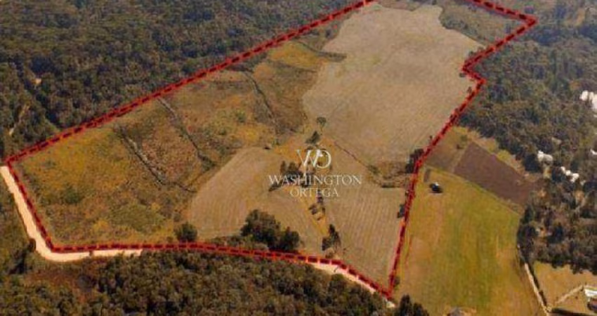 Área à venda, 348444 m² por R$ 22.230.727,20 - Roseira - Campina Grande do Sul/PR