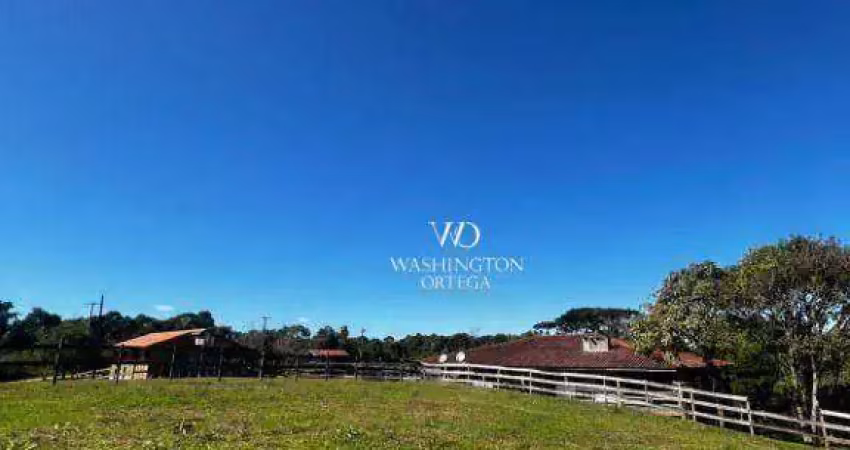 Haras à venda, 96400 m² por r$ 3.000.000,00 - marmeleiro - almirante tamandaré/pr