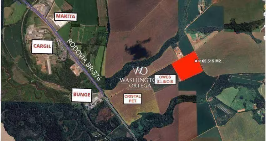 Área à venda, 165515 m² por r$ 21.847.980,00 - cará-cará - ponta grossa/pr