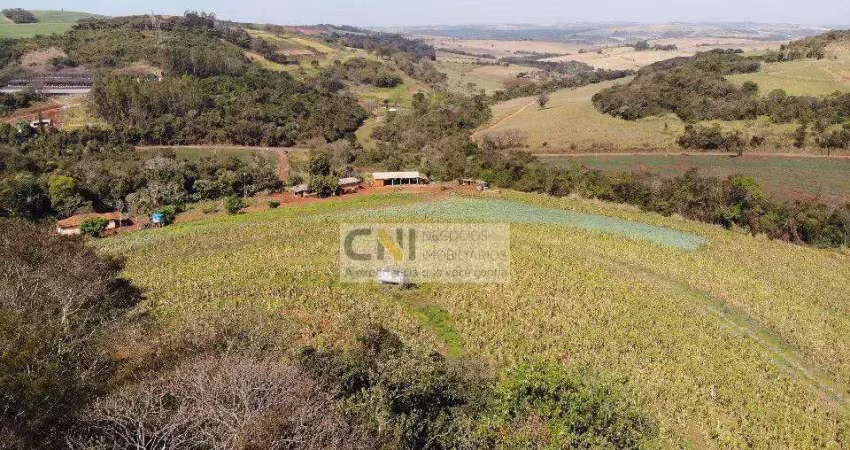 Chácara / sítio com 1 quarto à venda na TAQUARUNA - ENTRE SÃO LUIZ E IRERÊ, 000, Irerê, Londrina