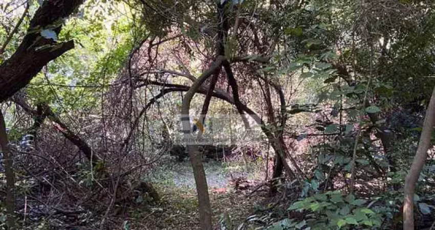 Chácara / sítio com 3 quartos à venda na Rodovia Mabio Gonçalves Palhano, 355, Gleba Fazenda Palhano, Londrina