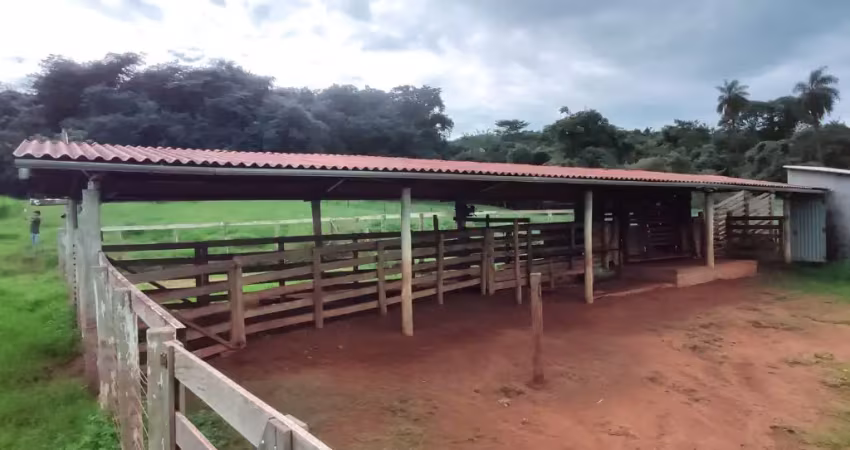 Fazendo Munícipio de Rio Verde.
